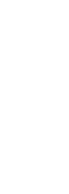 木材から始まるストーリー